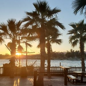 Meet your Posher, Nicolas